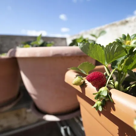 Il Sole Di